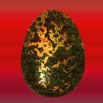 oeuf01