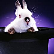 lapin01