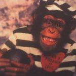 Jailbreak_monkey