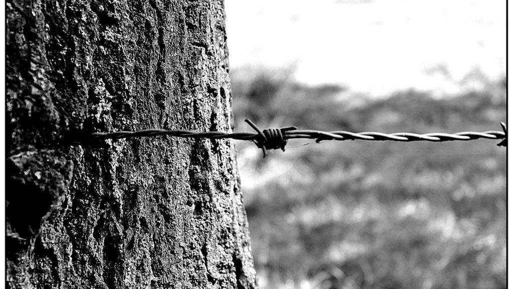 barbed wire 887279 1280 1024x576 - Le Manifeste de la Ligue de l’Epine Noire