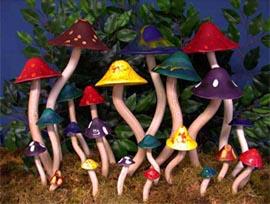 mushroom - Des Champignons et des Hommes