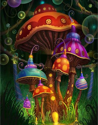 magicmushrooms - Les Champignons & l’Evolution [1ere partie]