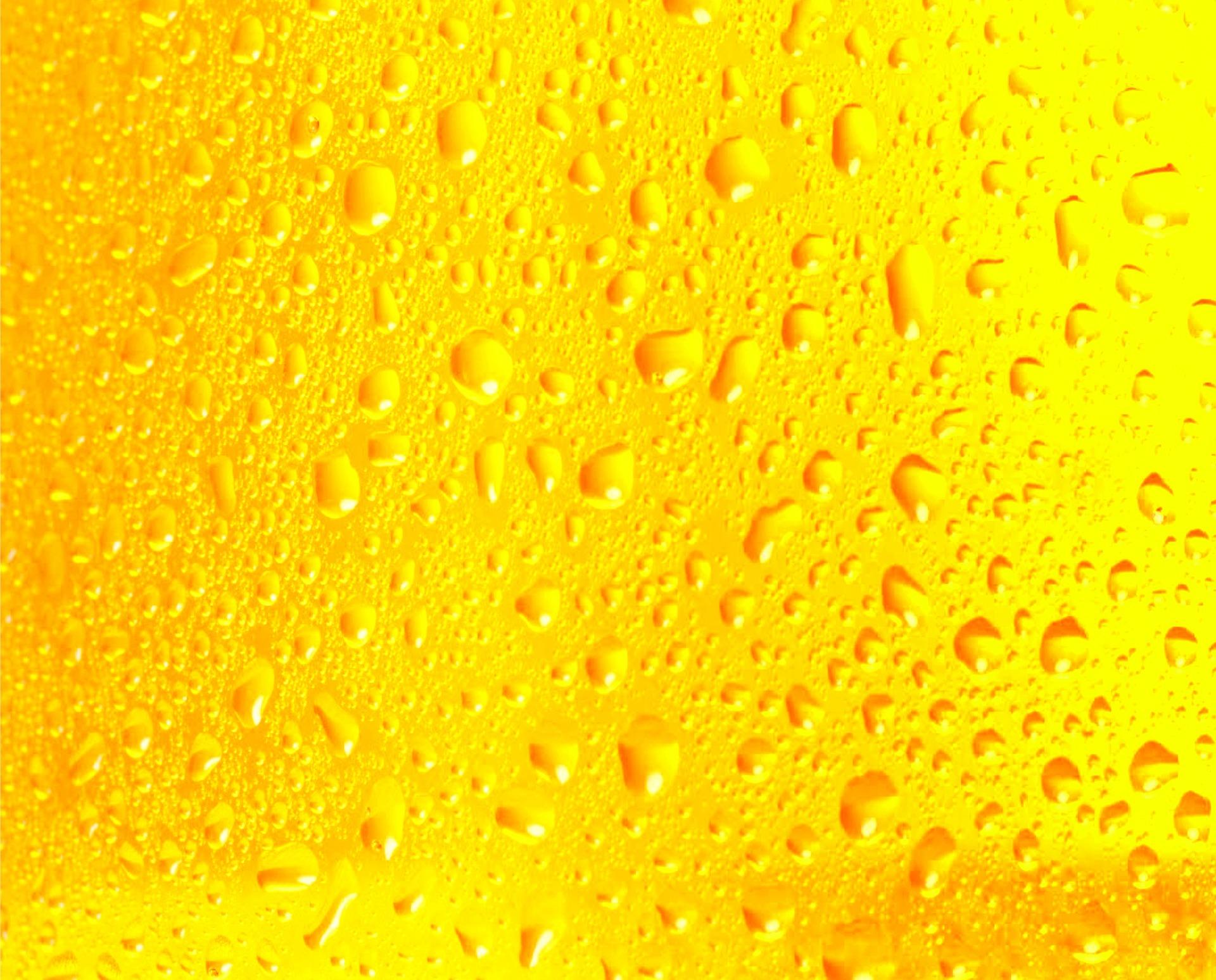 beer 253791 1920 - L’Océan de Limonade & les Temps Modernes