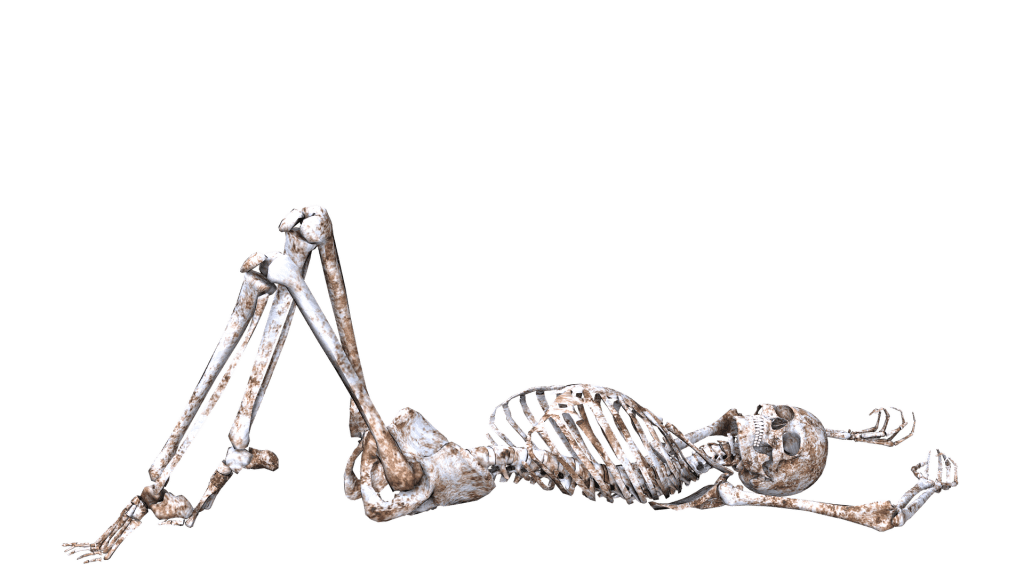 skeleton 1940281 1920 1024x576 - Ballade Endo Majeur