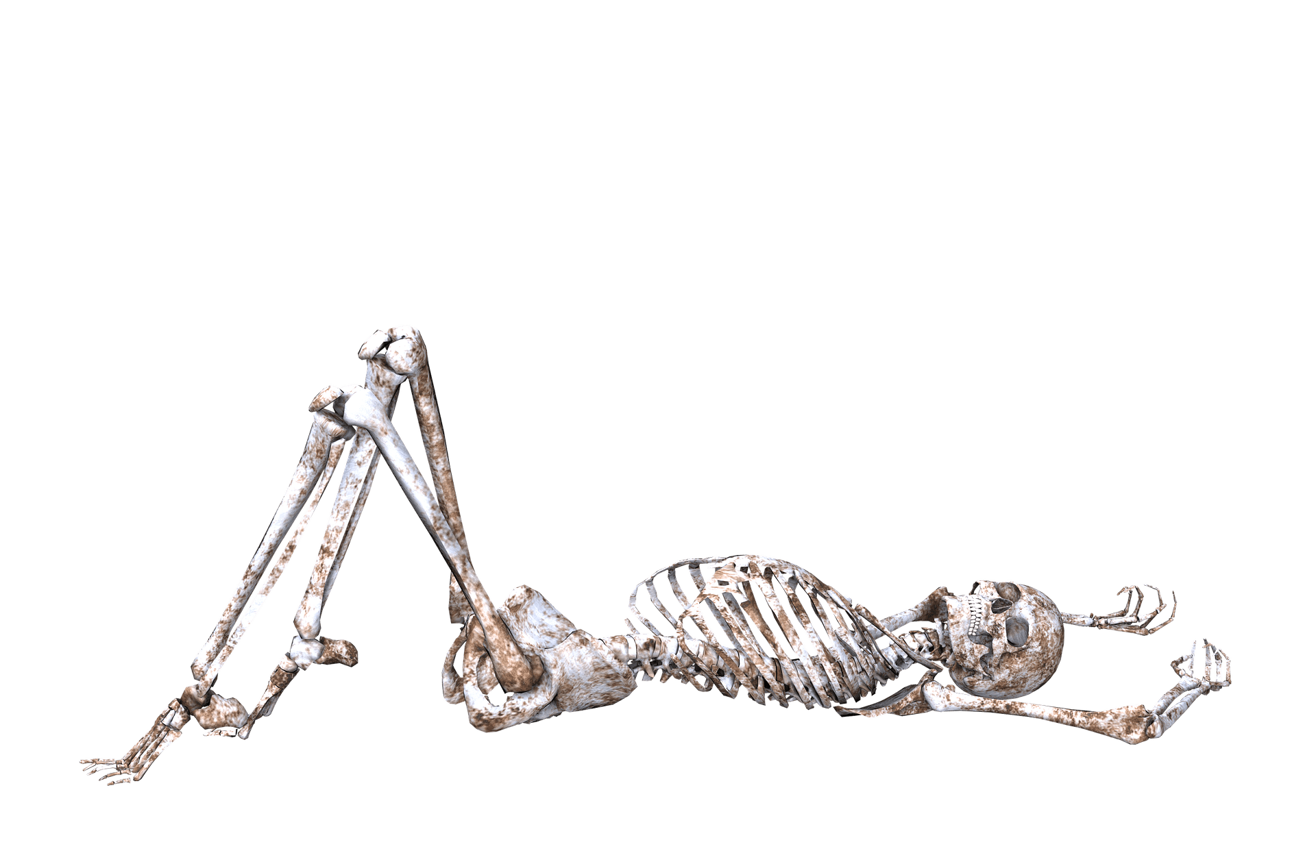 skeleton 1940281 1920 - Ballade Endo Majeur