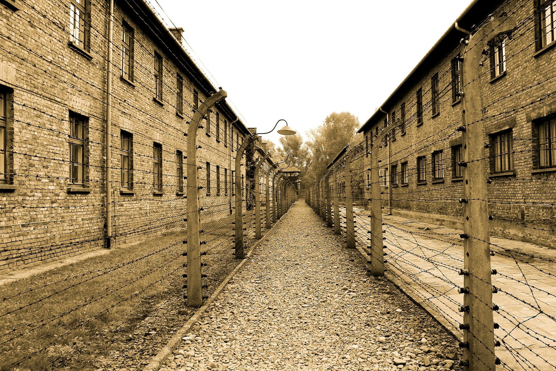 auschwitz 385639 1920 - Une Vie sans Barrières