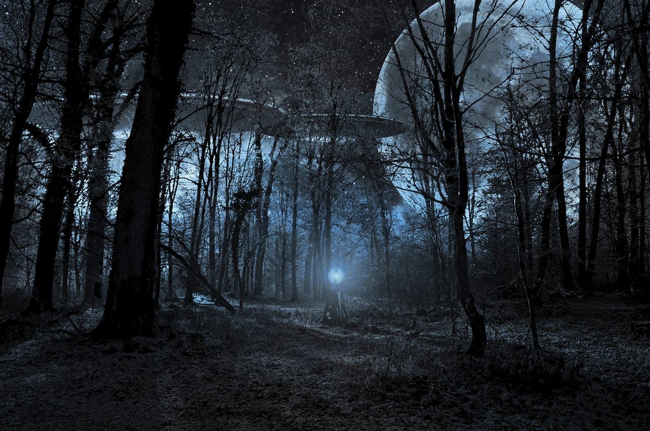ufo 1951536 1280 - Le nazisme revisité