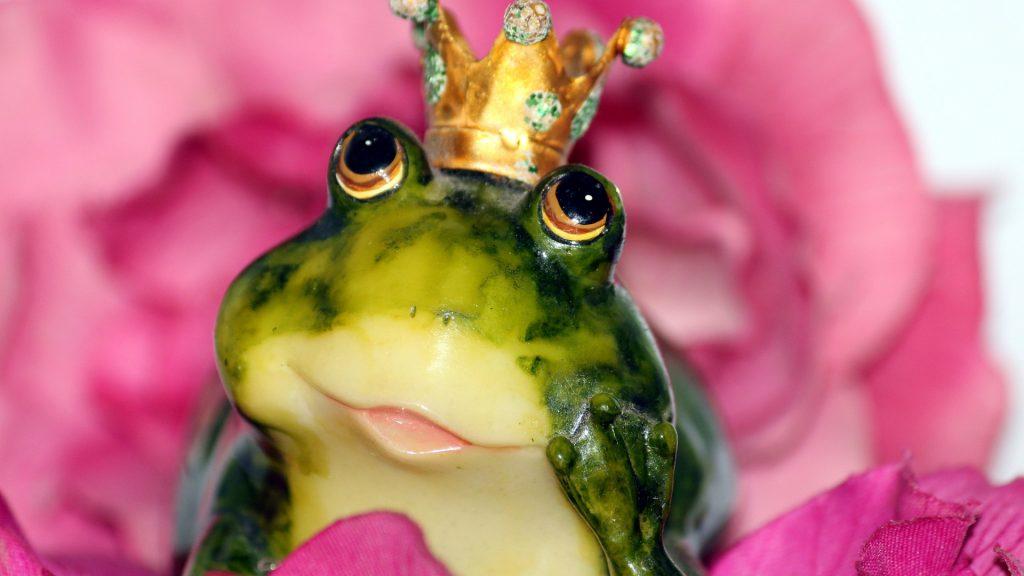 frog prince 1370022 1920 1024x576 - Maladie de l’Ego