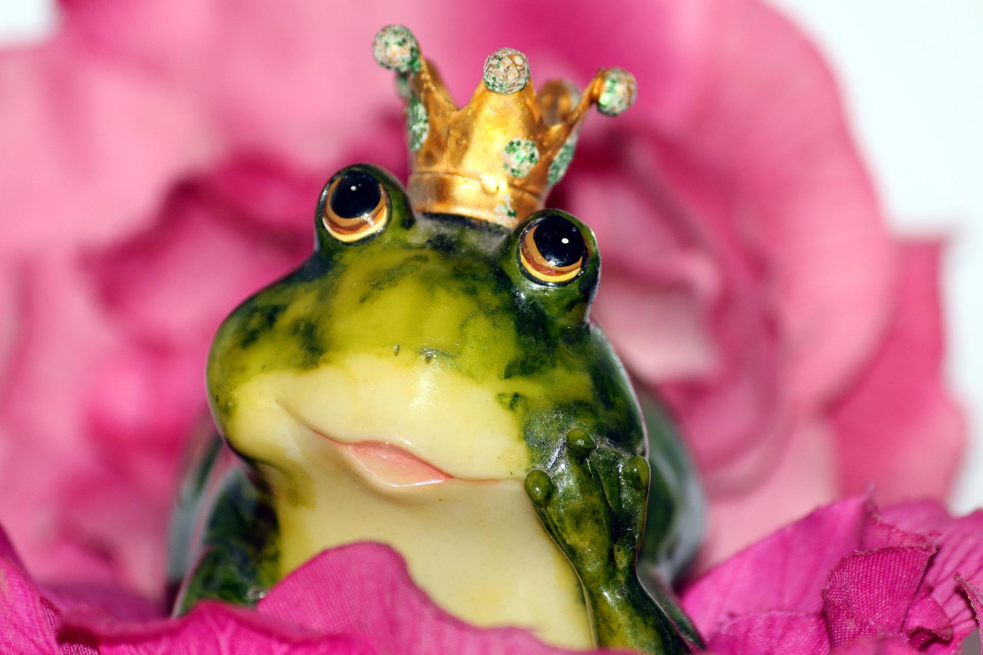 frog prince 1370022 1920 - Maladie de l’Ego